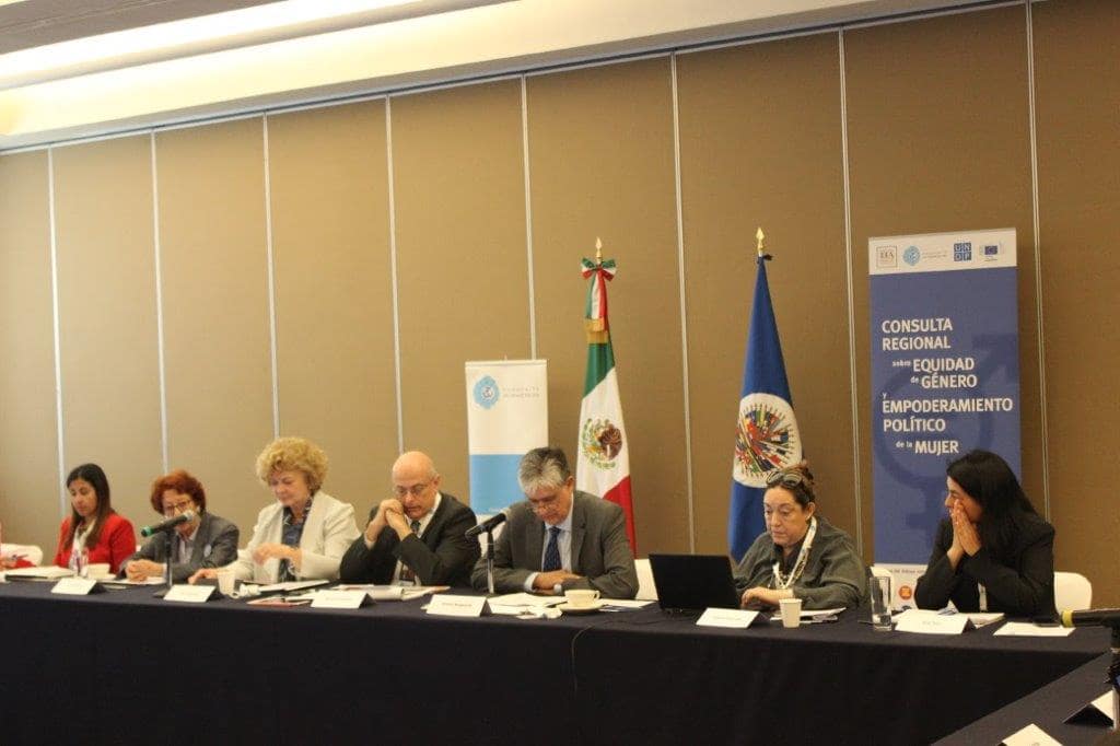 Consulta Regional Igualdad Género
